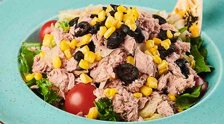 Ton Balıklı Salata